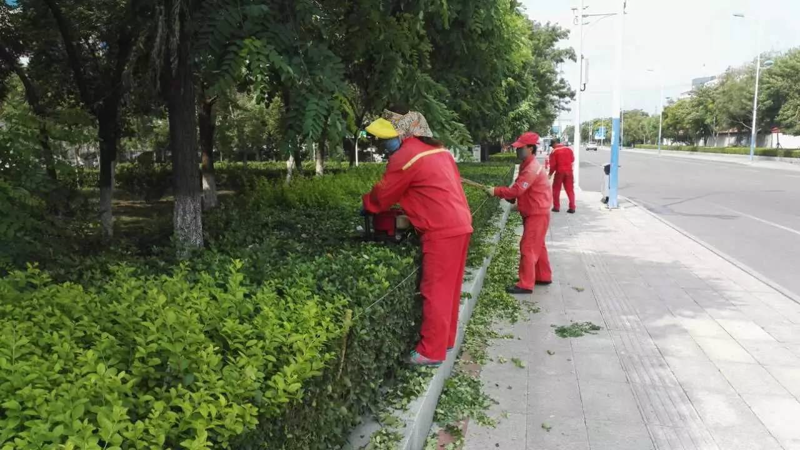 物业公司的孝感化进程：如何构建社区温馨港湾？