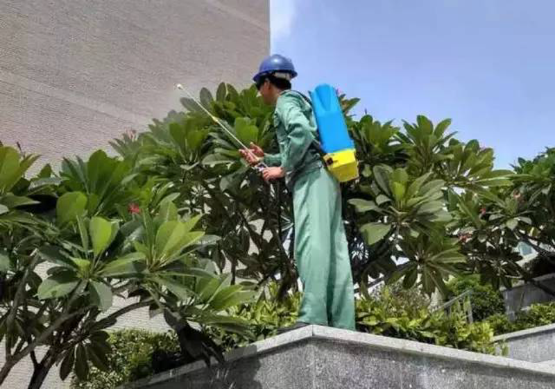 小区物业管理：提升居住品质的金钥匙