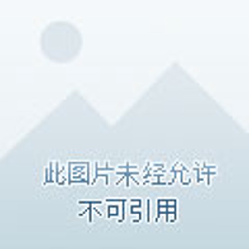 孝感物业公司的发展与挑战